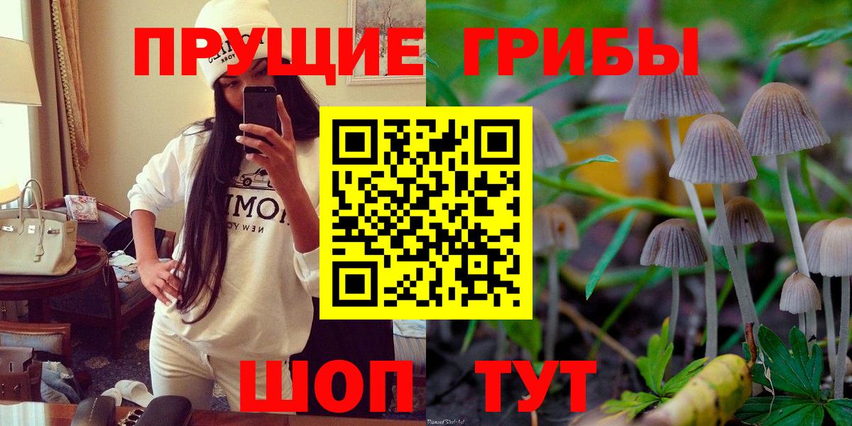 Менделеевск  Псилоцибиновые грибы ЛСД  Вход с VPN 
